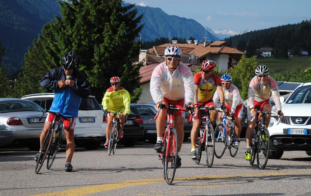 Dolasilla Park Hotel Vigo di Fassa Eksteriør bilde